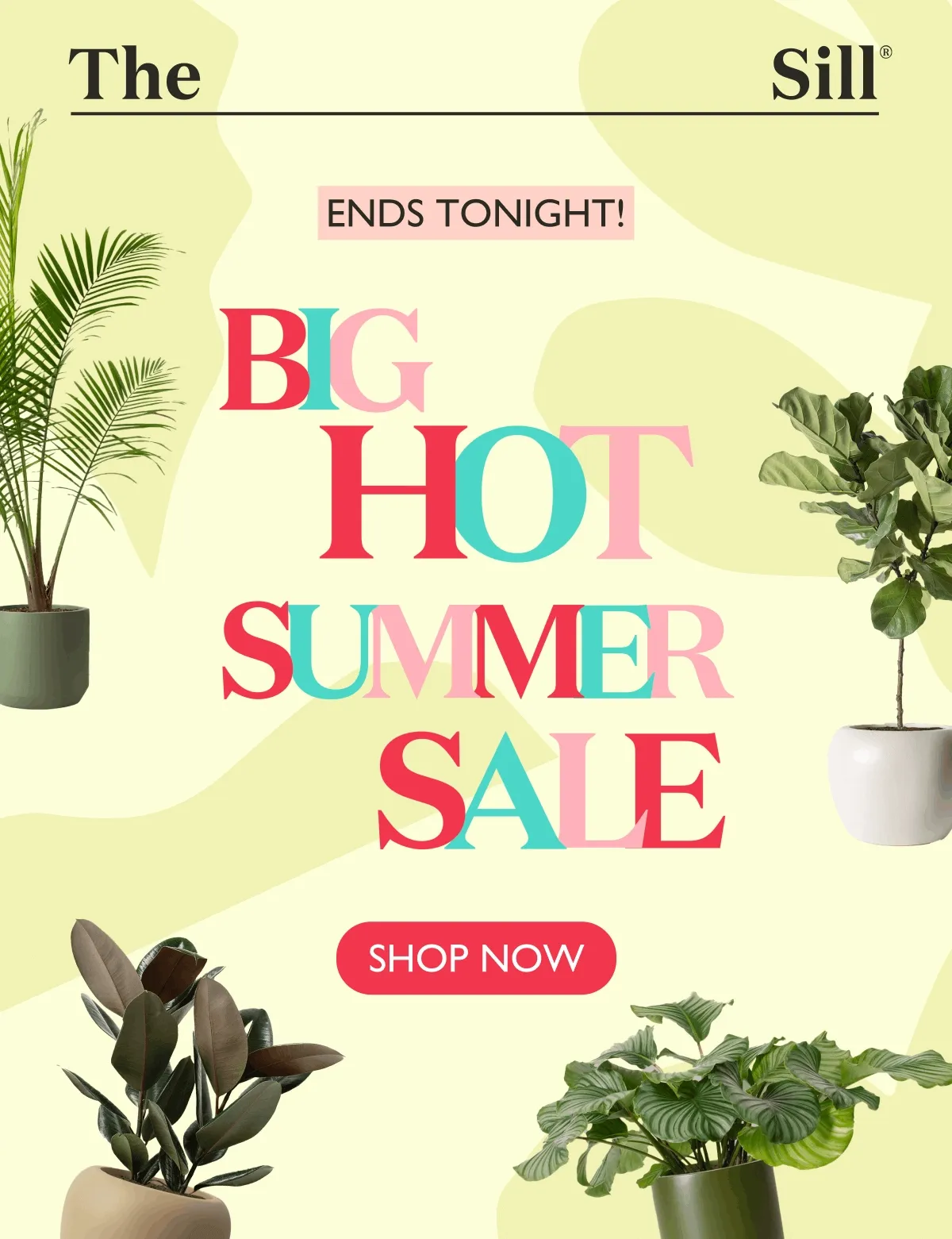 Our Big, Hot, Summer Sale ends tonight! Shop now and enjoy $$$ off best sellers.
