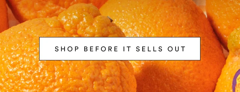 SHOP BEFORE IT SELLS OUT