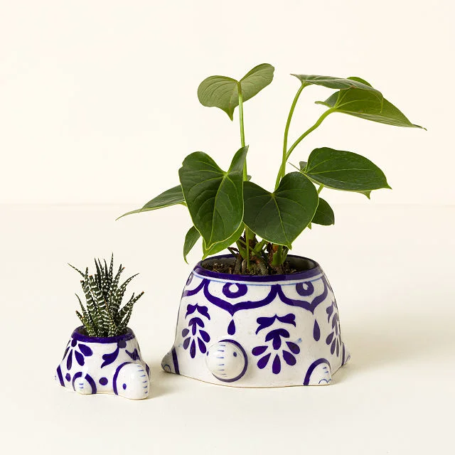 Hand Painted Turtle Planter: Set of 2