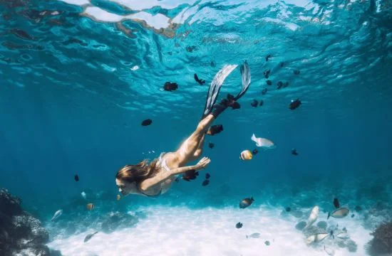 Click to View Cruises & Book Now Click to View Cruises & Book Now