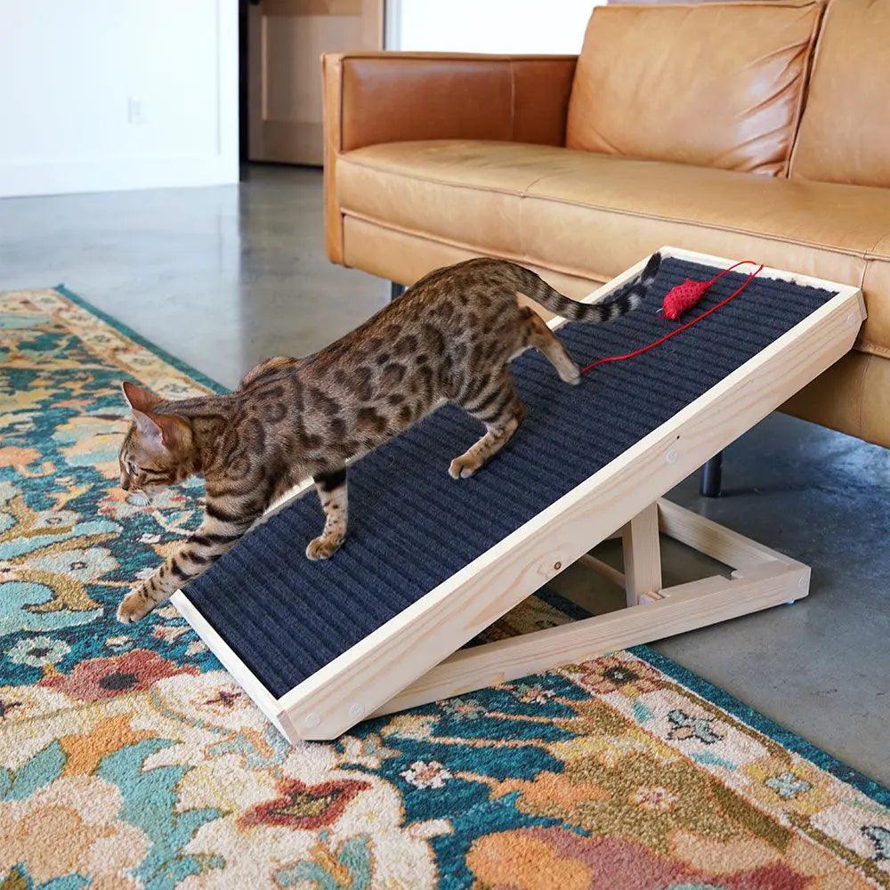 Image of ScratchyRamp™