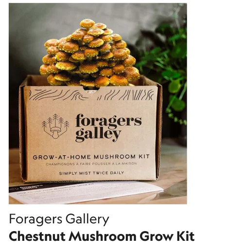 Chestnut Mushroom Grow Kit
