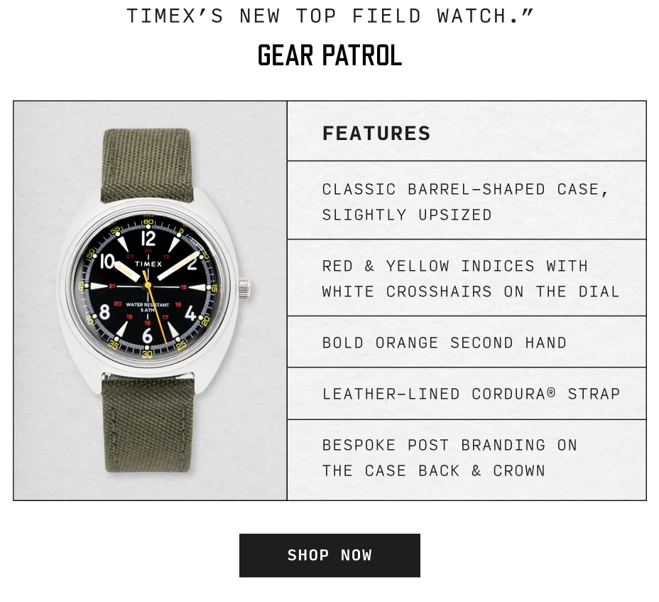 Timex x Bespoke Post Field Watch