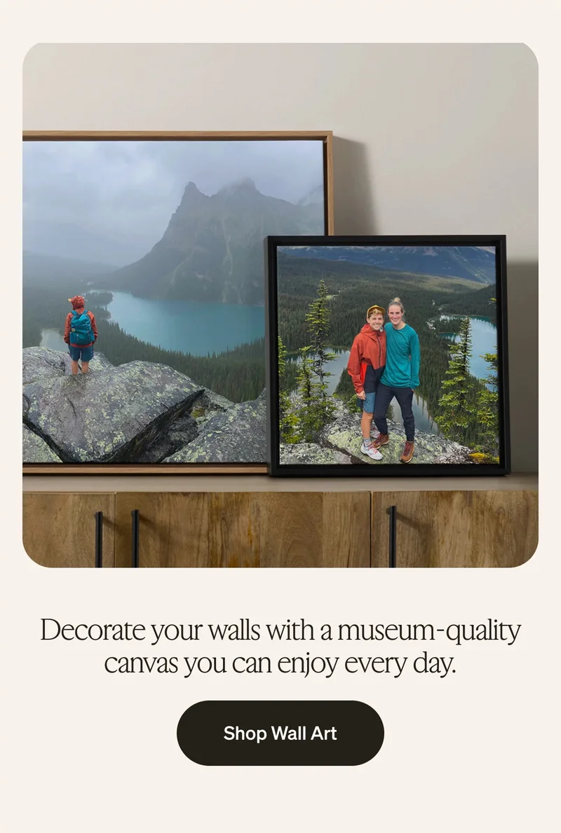 Free Shipping (No Minimum) + up to 40% Off Select Items
