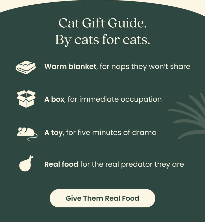 Cat Gift Guide, by cats for cats
