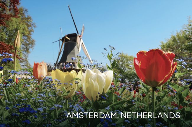 Click to View Cruises & Book Now (Pictured: Amsterdam, Netherlands)