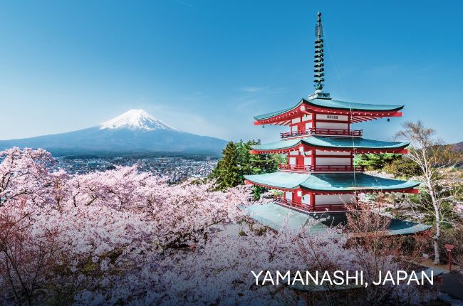 Click to View Cruises & Book Now (Pictured: Yamanashi, Japan)