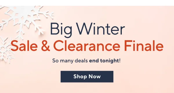 big winter sale