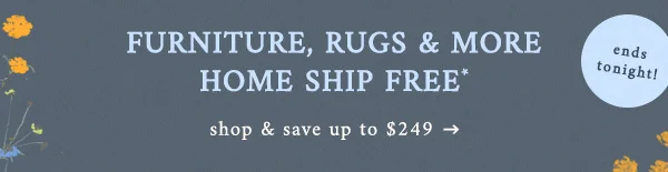 Furniture, Rugs & More Home Ship Free