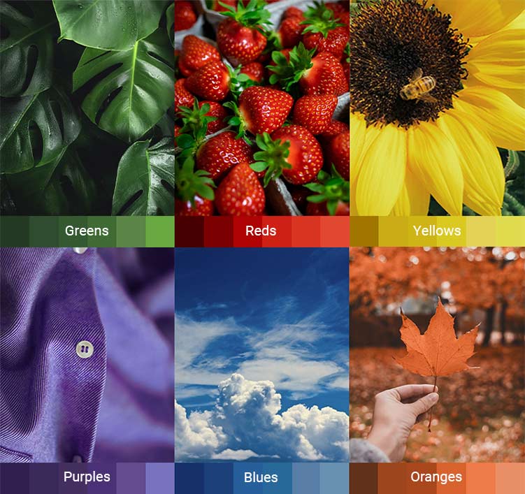 Color Blindness Awareness Month Is Here! Shop up to 30% off