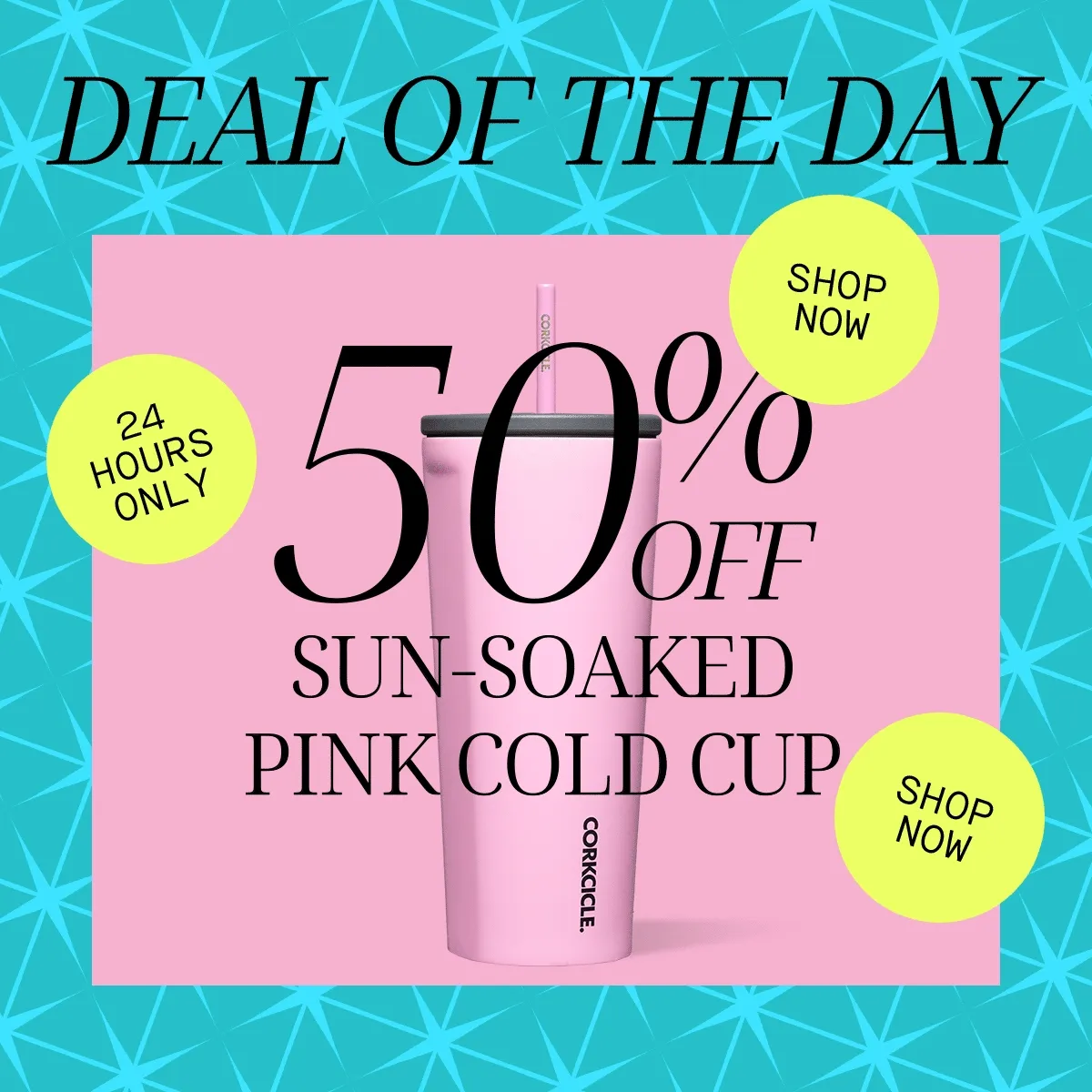 24 hours only Deal of the Day!