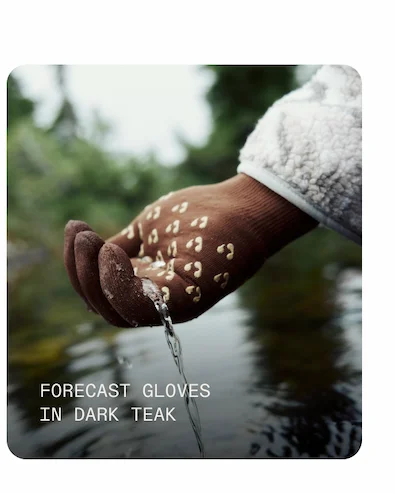 Forecast Gloves in Dark Teak