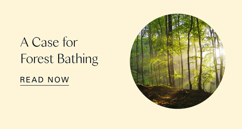 A Case for Forest Bathing