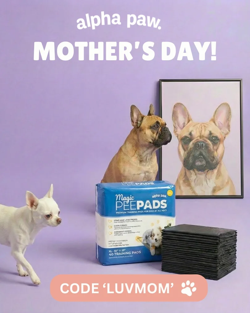 Alpha Paw Luv Mom Alpha Paw Luv Mom
