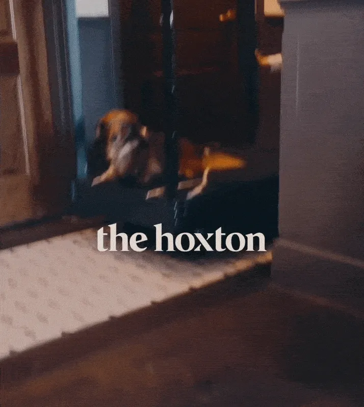 Little girl and dog playing in the corridor