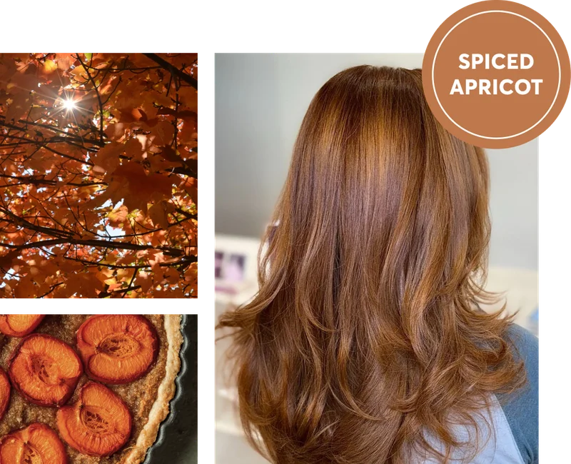 Spiced Apricot