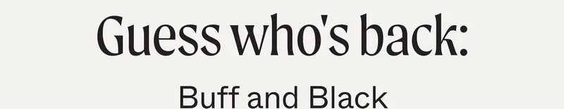 Guess Who's Back: Buff and Black