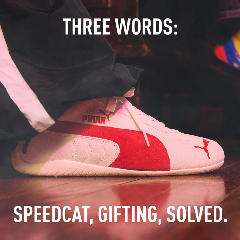 THREE WORDS: SPEEDCAT, GIFTING, SOLVED.