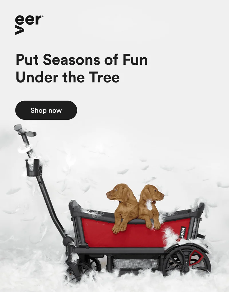 Put Seasons of Fun Under the Tree | Shop Now