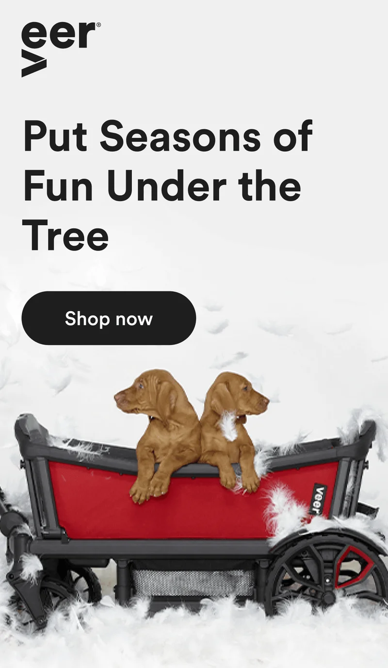 Put Seasons of Fun Under the Tree | Shop Now