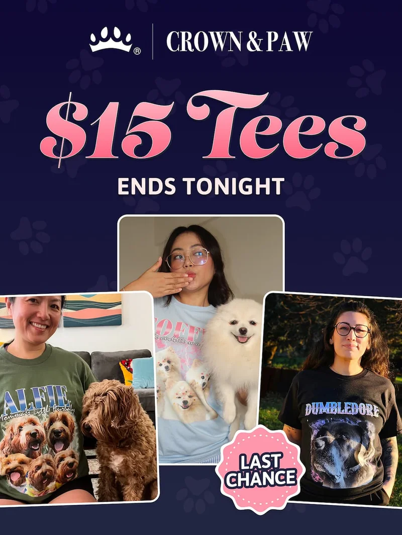 $15 Tees ENDS TONIGHT