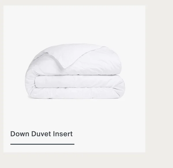 Down Duvet Insert