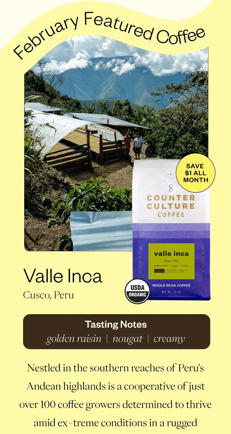 February Featured Coffee Valle Inca Save $1 all. month Valle Inca Cusco, Peru  Tasting Notes golden raisin nougat creamyNestled in the southern reaches of Peru's Andean highlands is a cooperative of just over 100 coffee growers determined to thrive amid extreme conditions in a rugged .