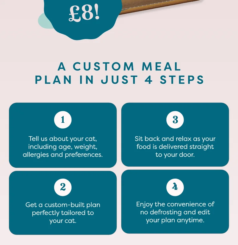 A custom meal plan in just 4 steps