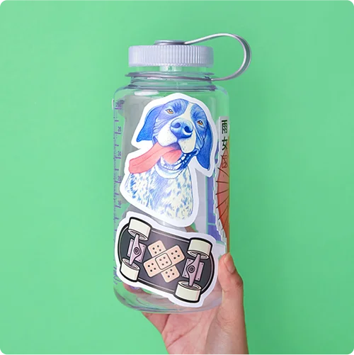 Water Bottle Stickers