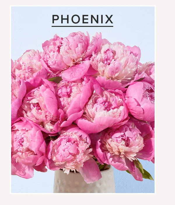 PHOENIX