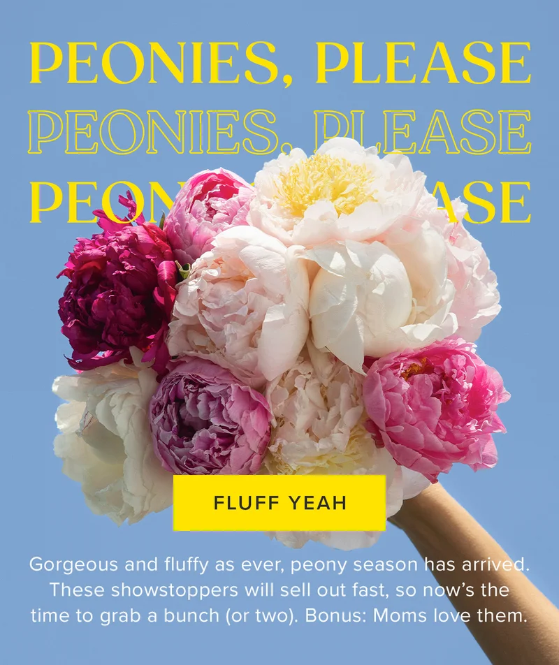 PEONIES, PLEASE PEONIES, PLEASE PEONIES, PLEASE GLUFF YEAH  Gorgeous and fluffy as ever, peony season&nbsp;has arrived. These showstoppers will sell out fast, so now's the time to grab a bunch (or two). Bonus: Moms love them.