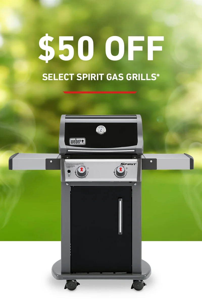 link to discover more about saving on the spirit grill