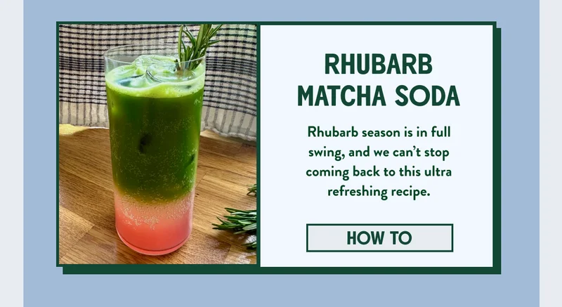 Matcha and Rhubarb Soda