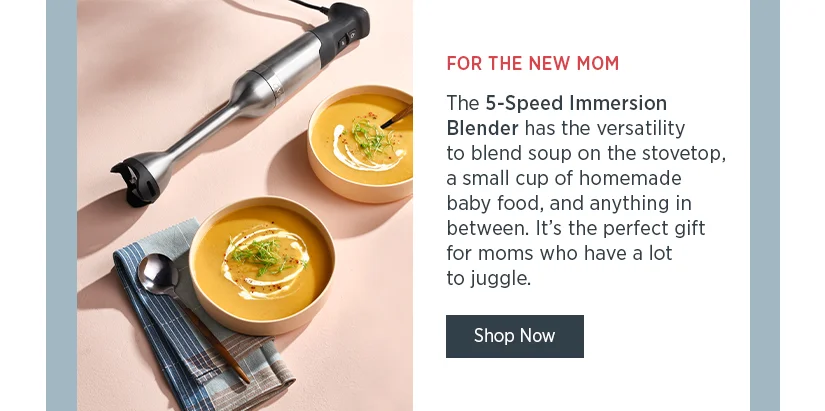 For the New Mom: The 5-Speed Immersion Blender has the versatility to blend soup on the stovetop, a small cup of homemade baby food, and anything in between.