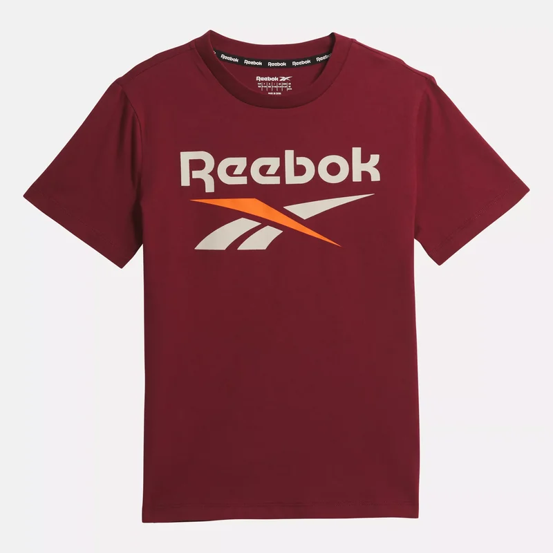 Image of Reebok Identity T-Shirt - Big Kids