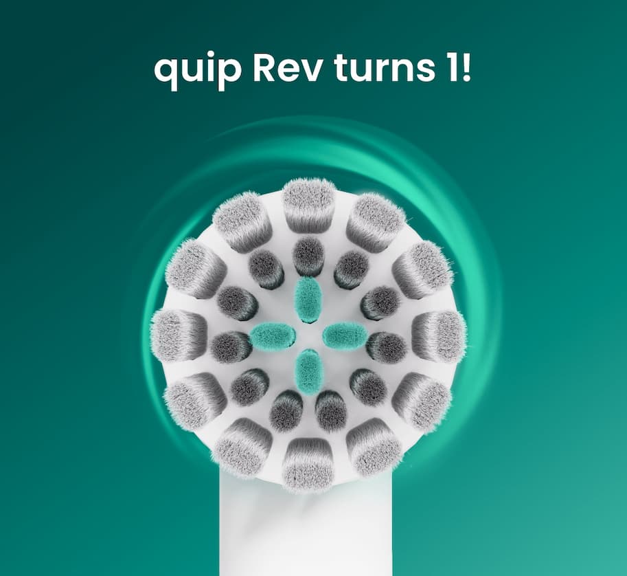 1 Year quip Rev