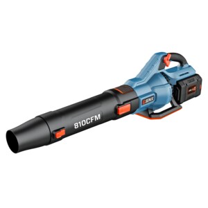Save $60: SENIX 60-Volt Handheld Leaf Blower