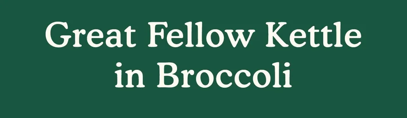 Great Fellow Kettle in Broccoli