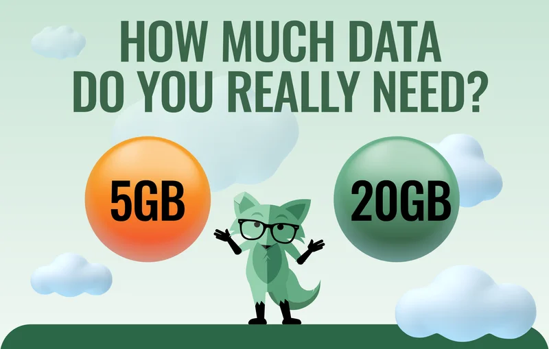 How much data do you really need?
