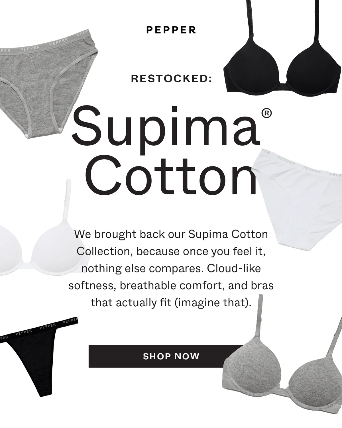 Restocked: Supima Cotton