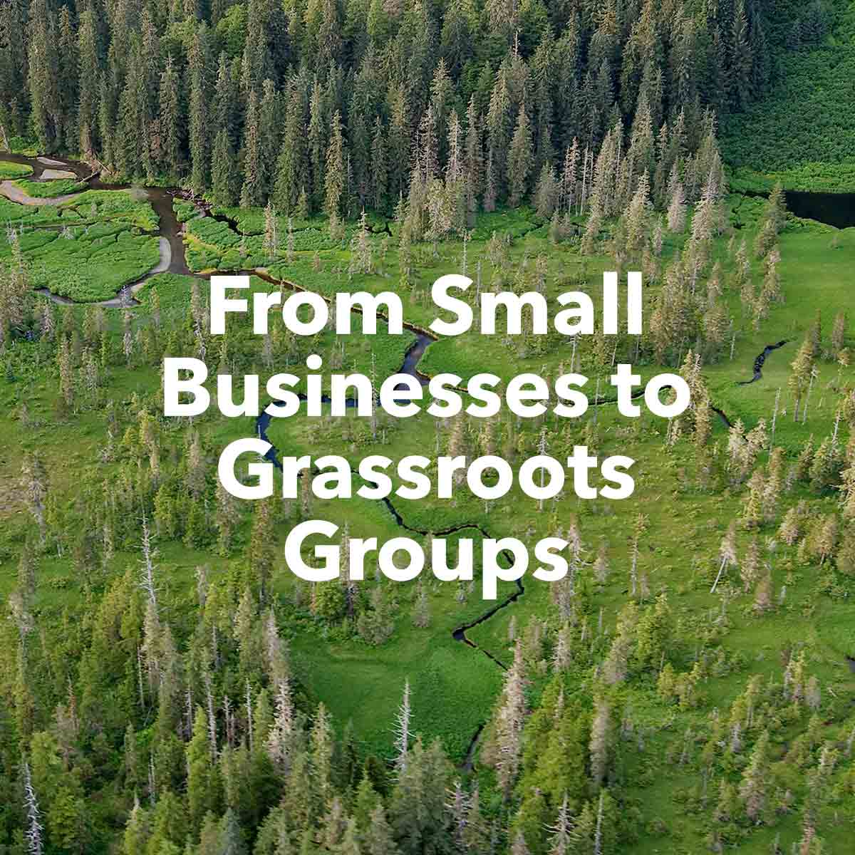 From Small Businesses to Grassroots Groups