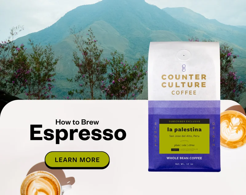 how to brew Espresso Learn More