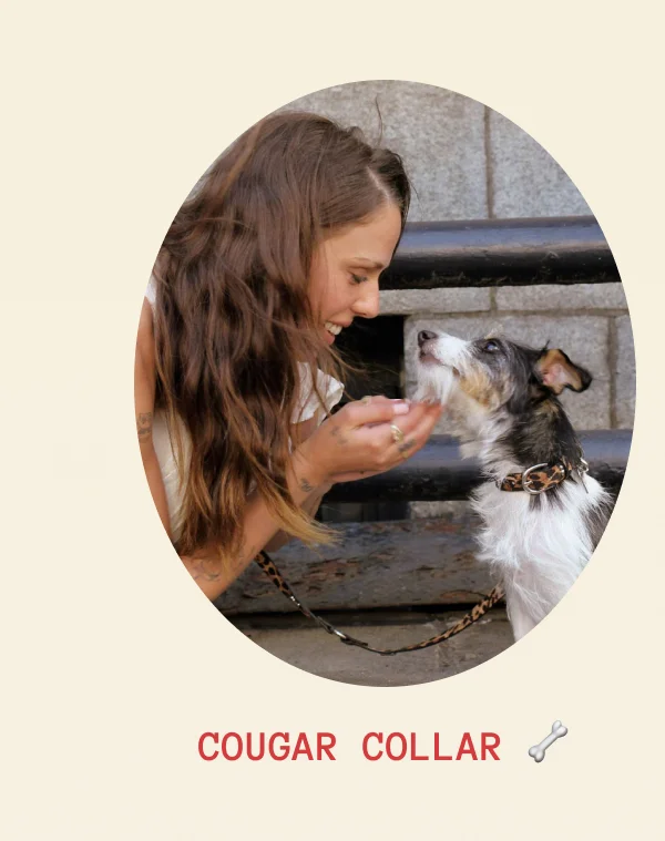 Cougar Collar 🦴