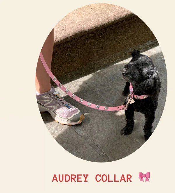 Audrey Collar 🎀
