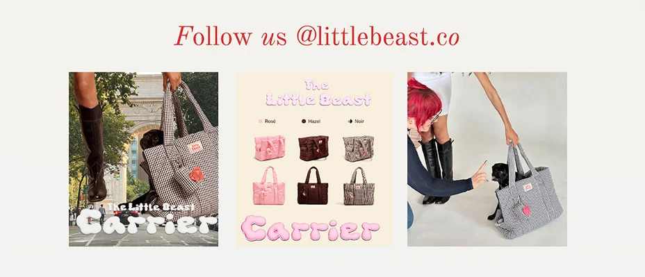 Follow us on Instagram