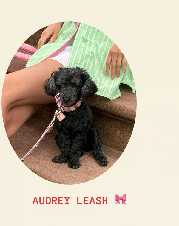 Audrey Leash 🎀