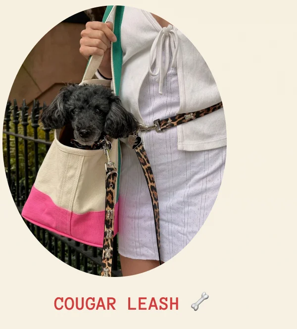 Cougar Leash 🦴