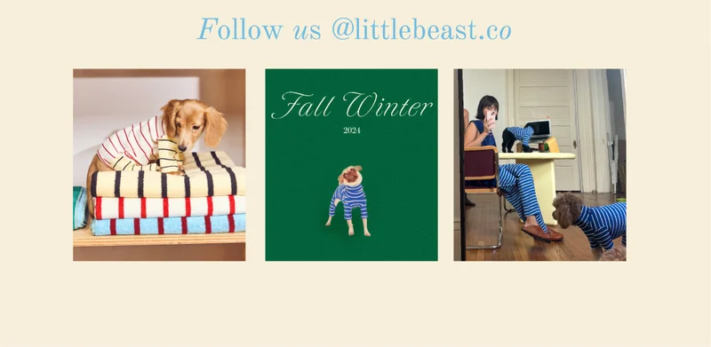 Follow us on Instagram