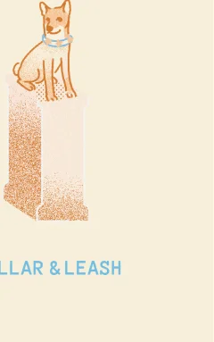 Collar & Leash