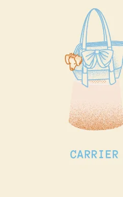 Carrier